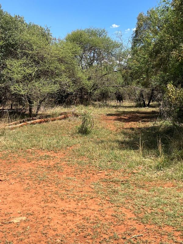 0 Bedroom Property for Sale in Leloko Lifestyle Estate North West